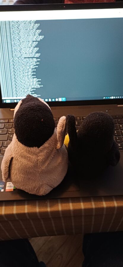 Abklatsch Neville und Mütux nach erfolgreichem Upgrade