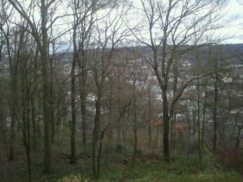 Wuppertal bei Tag, Bäume